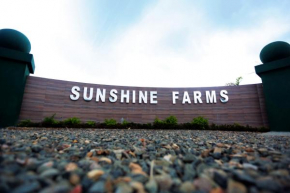  Sunshine Farms And Resort  Шиллонг